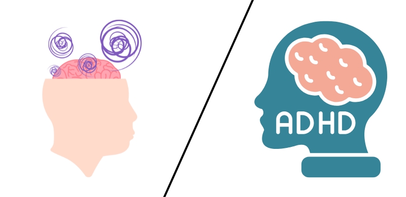 ADHD and Sensory Processing What’s the Connection small