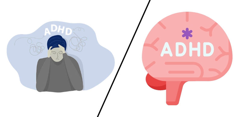 PB Blog large img (5) (2)