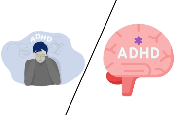 PB Blog small img (2) (1)